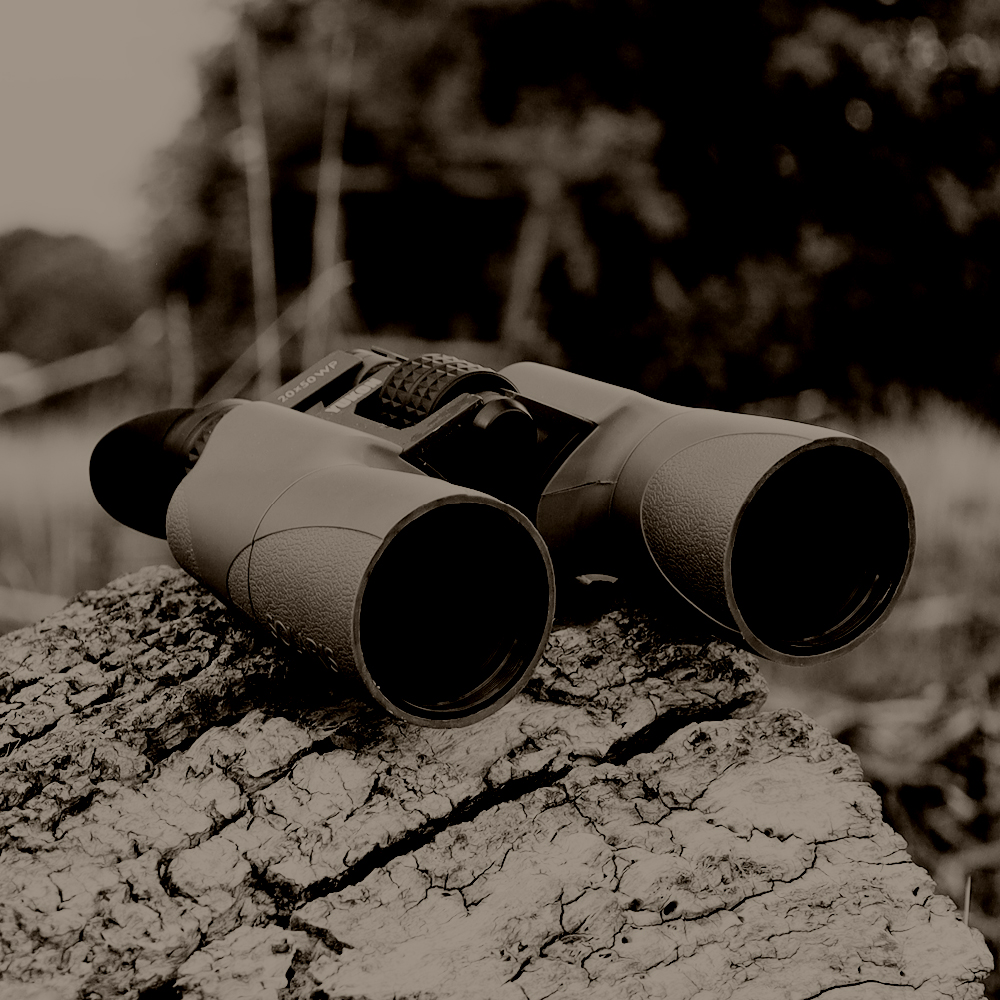 Home | TJ Tactical